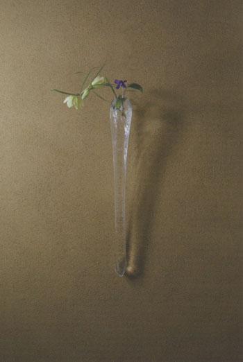 ���������Y�K���X�W