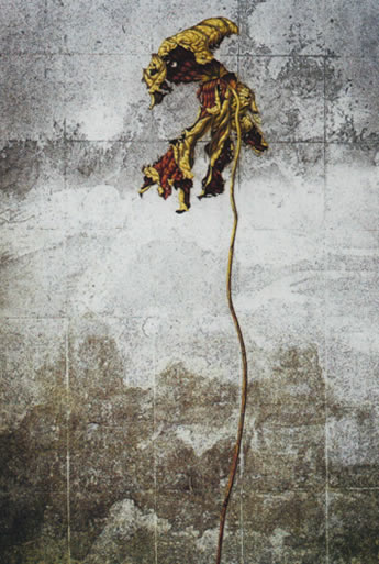 ���т������@�ߕ��W