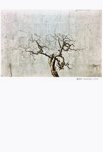 �V���B��@�W���G���[�W�@